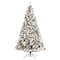 9ft. Pre-Lit Flocked West Virginia Fir Artificial Christmas Tree, Clear LED Lights